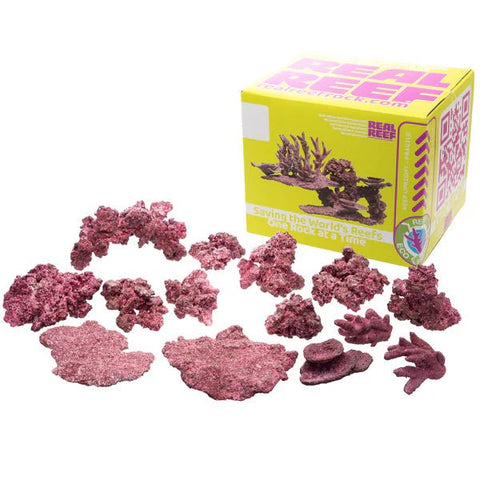 Real Reef Rock Box - Apex AquaticReal Reef Rock Box