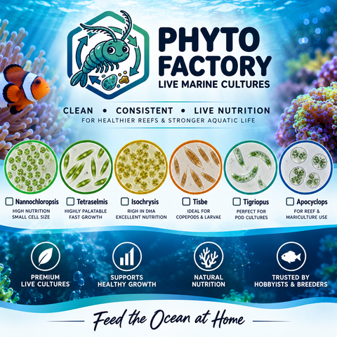 Live Foods By Phyto Factory