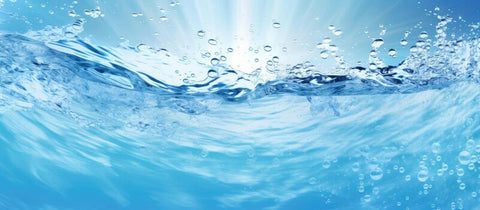 RO Water - Apex AquaticRO Water