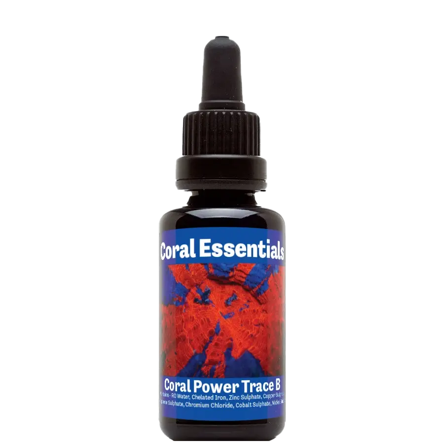 Coral Essentials Coral Power