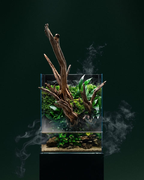 UNS Foresta Paludarium - Apex AquaticUNS Foresta Paludarium