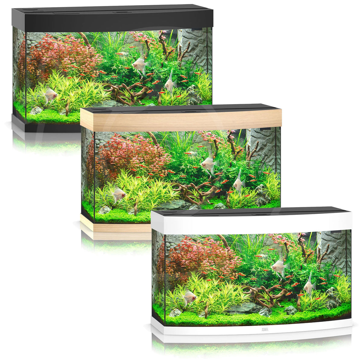 Juwel Vision Aquarium