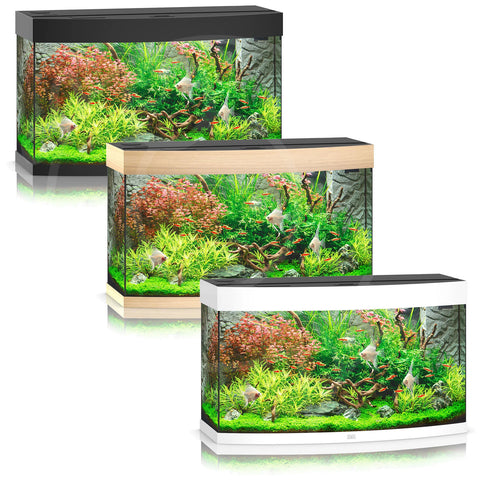 Juwel Vision Aquarium