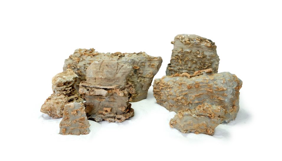 WYLD Gold Flecked Rock (POS)