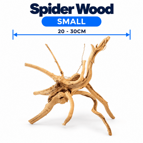 WYLD Spider Wood - Apex AquaticWYLD Spider Wood