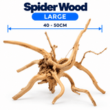 WYLD Spider Wood - photo 3