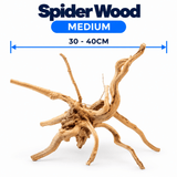 WYLD Spider Wood - photo 2
