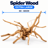 WYLD Spider Wood - photo 4